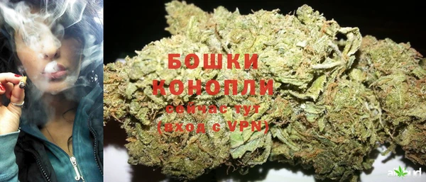 винт Верея