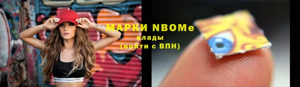 винт Верея