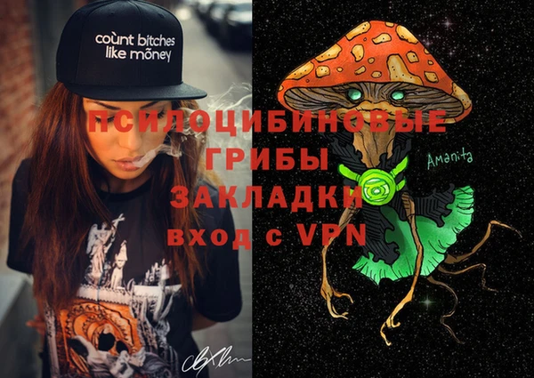 винт Верея