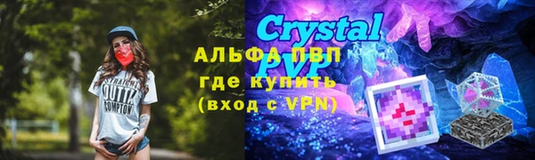 винт Верея